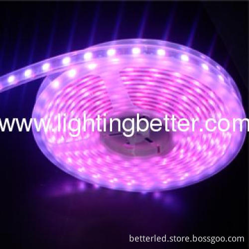 60Leds/m SMD5050 waterproof flexible Led strip with high lumen led